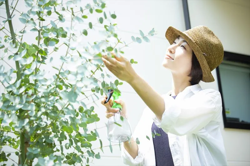 樹木の病気を防ぐ方法