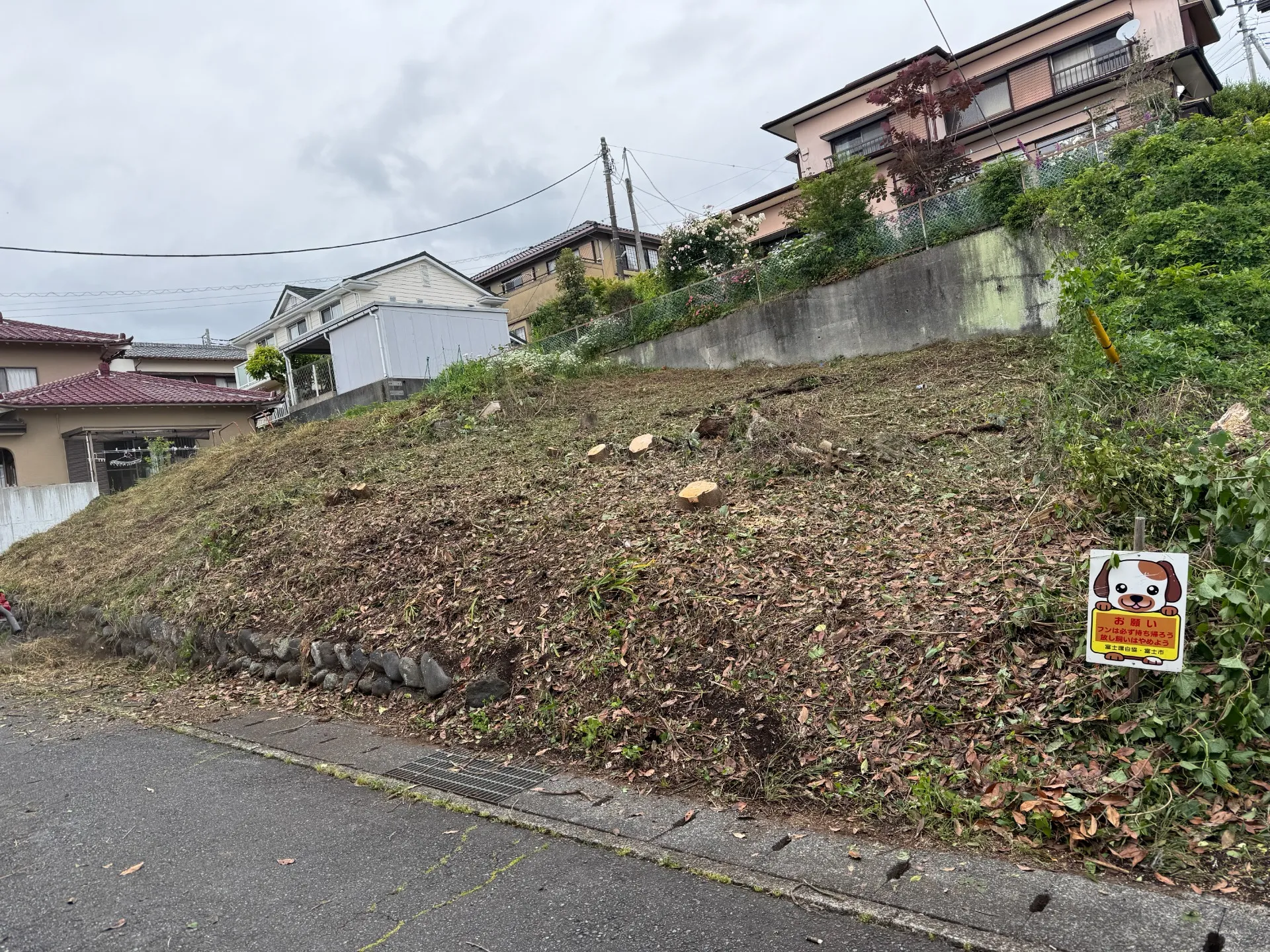 富士市　特殊伐採　施工後１