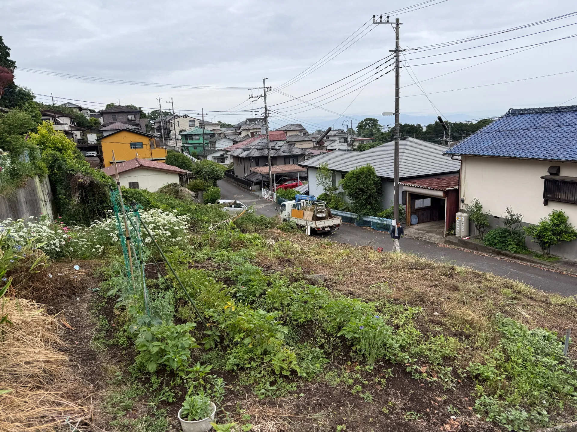 富士市　特殊伐採　施工後２