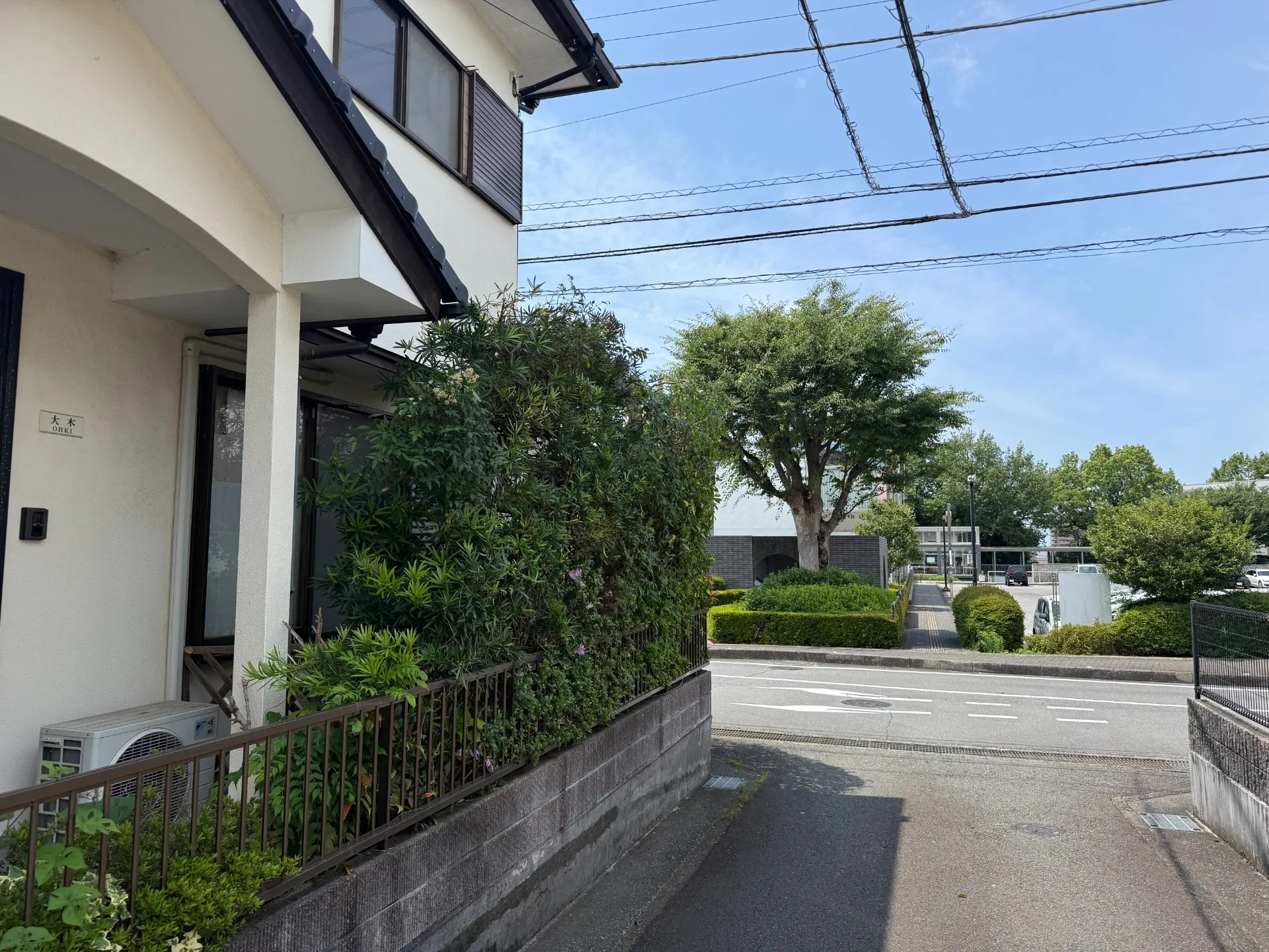 長泉町｜庭木剪定・刈り込み剪定・ツル除去施工事例