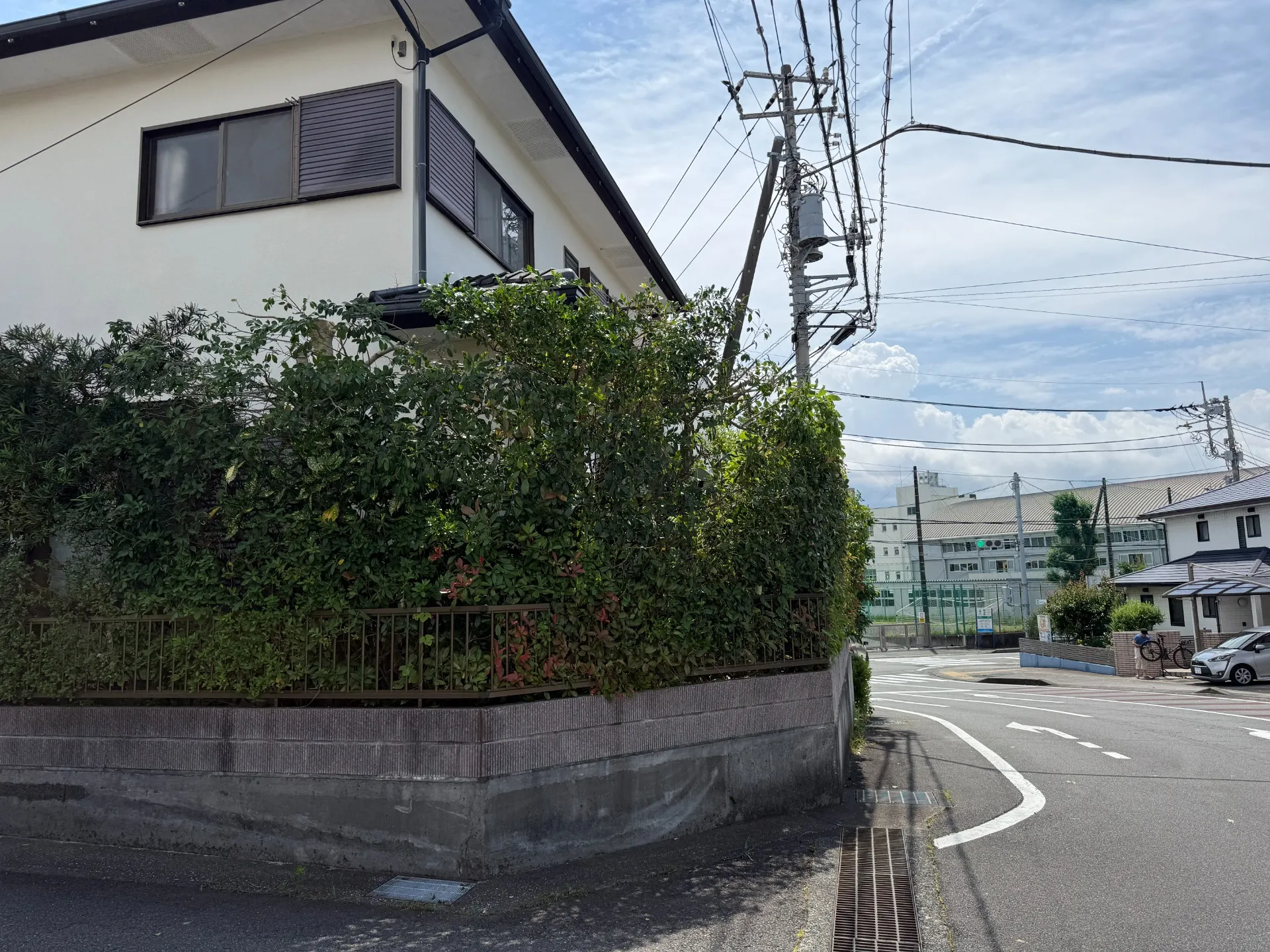 長泉町｜庭木剪定・刈り込み剪定・ツル除去施工事例