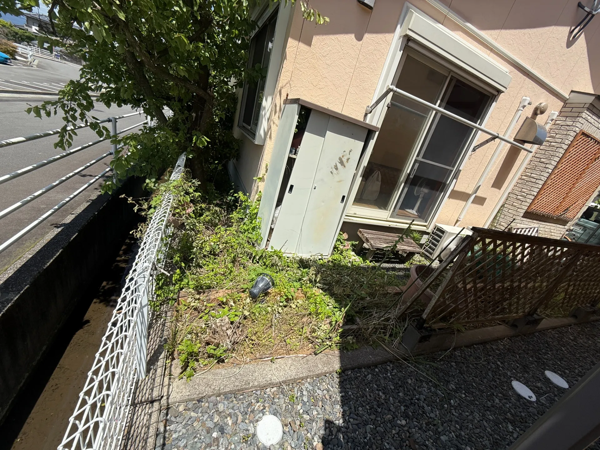 沼津市｜庭木の伐採施工事例｜建物際の大木を安全に伐採しました