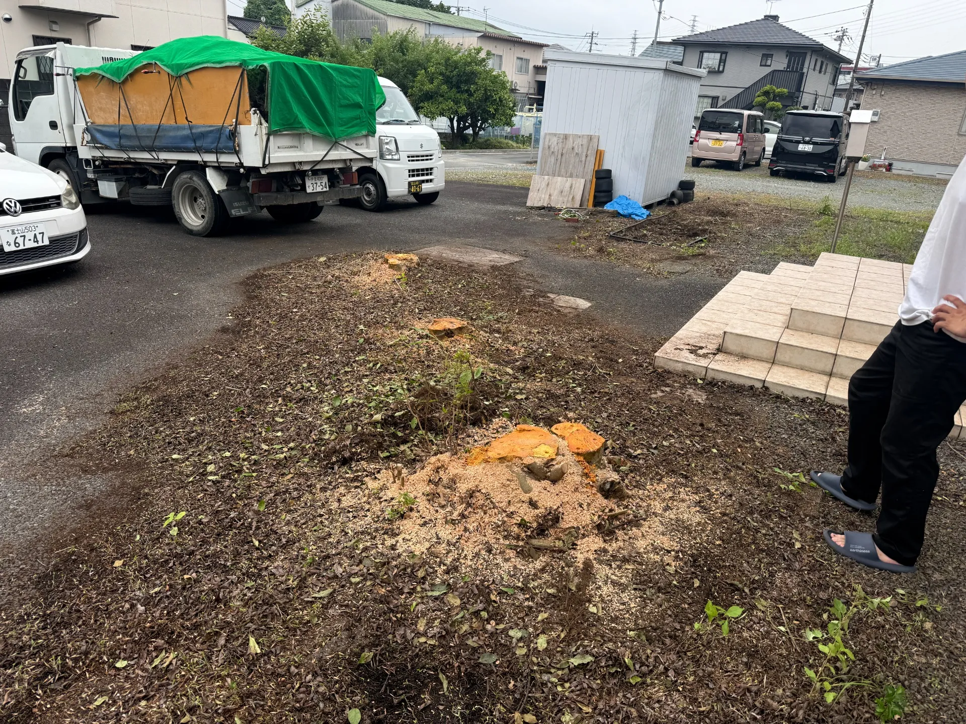 富士市｜庭木の伐採・庭木整理施工事例