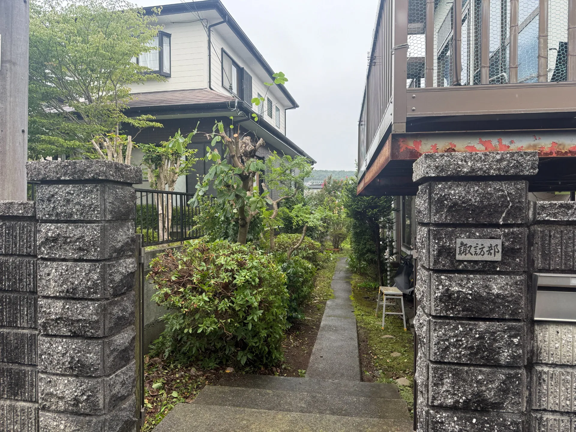 三島市｜庭木の剪定・強剪定で大きくなった樹木をスッキリ