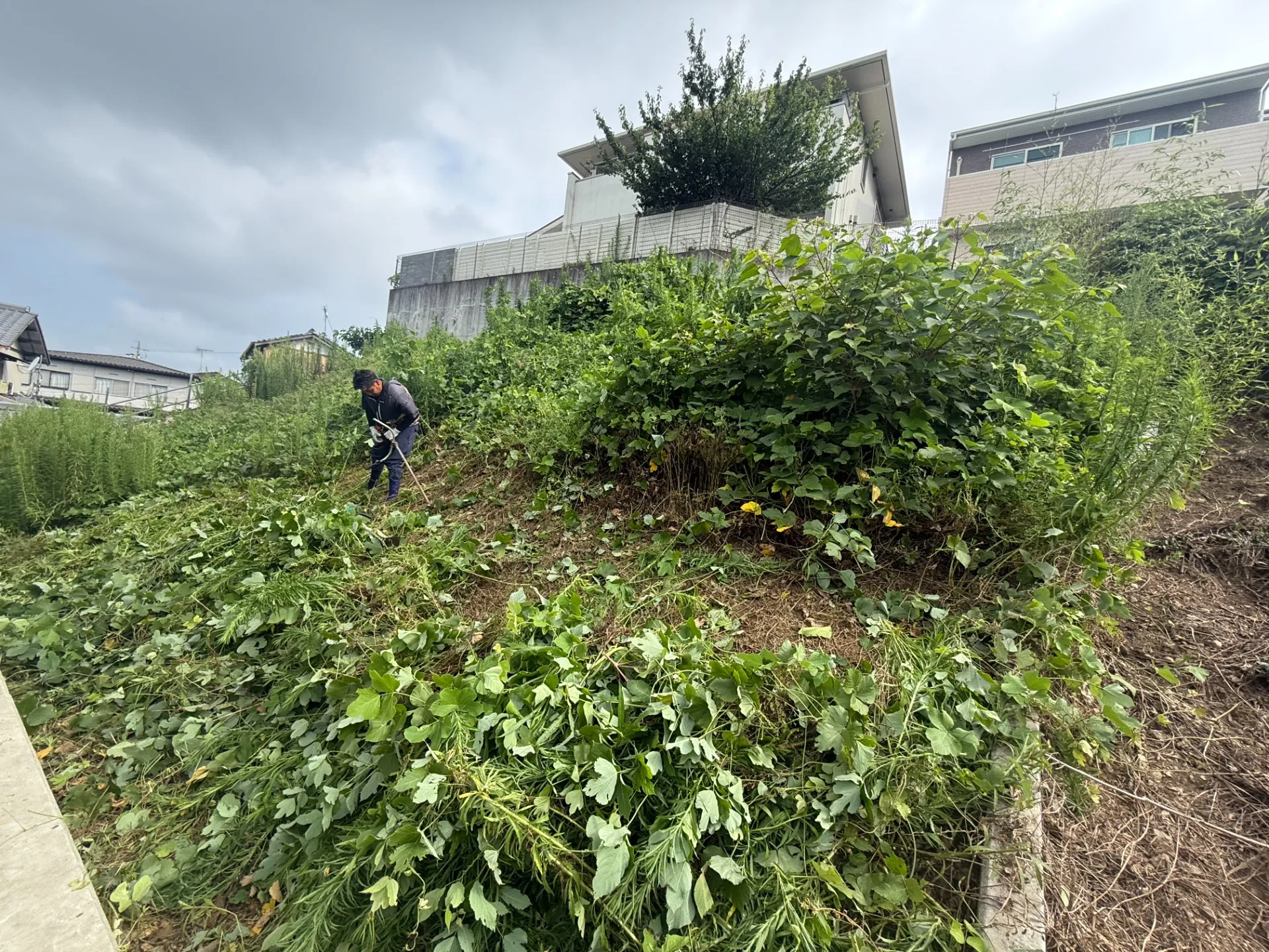長泉町｜傾斜地の草刈り・除草作業