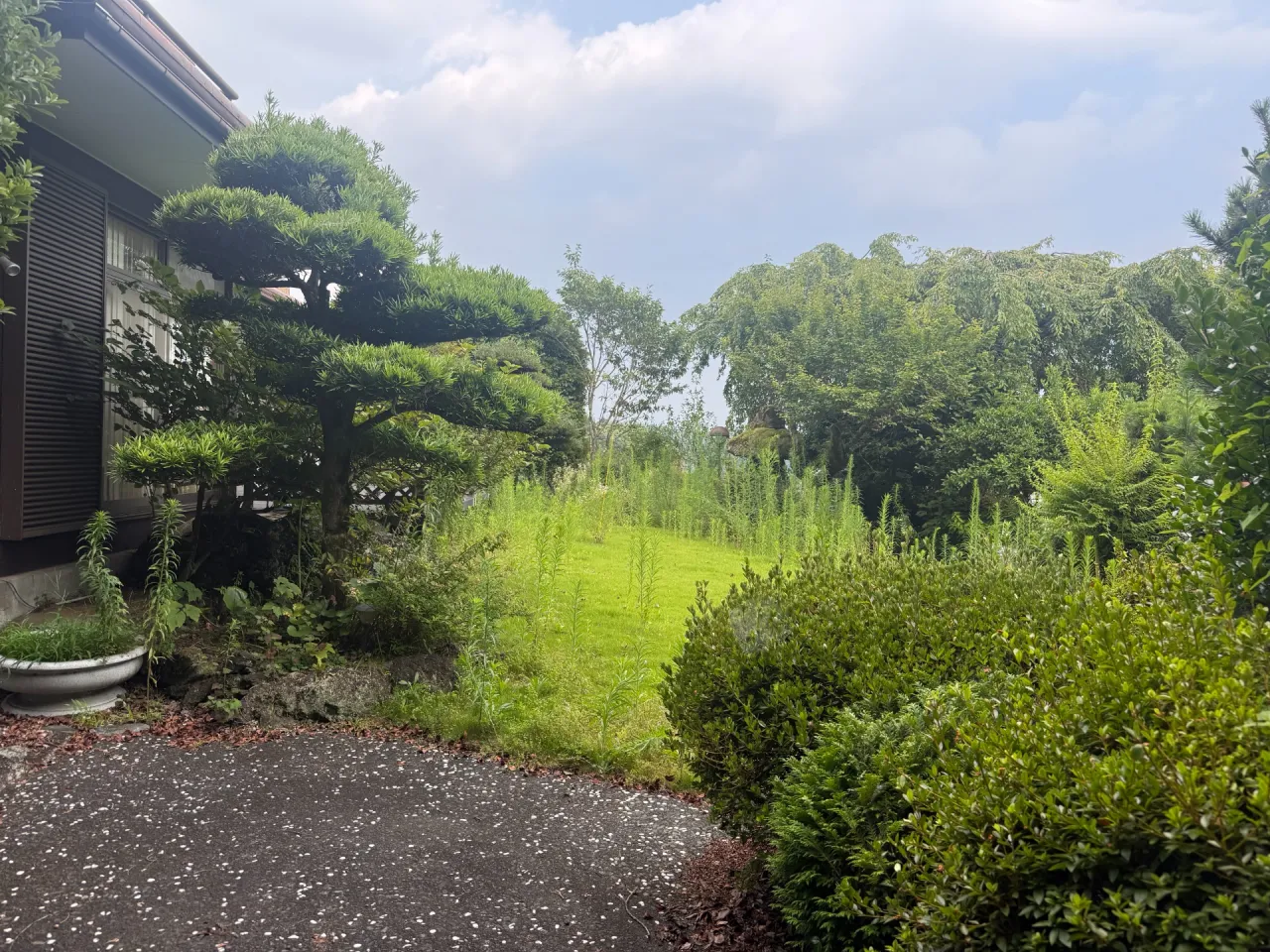 静岡市葵区｜庭木・芝生・雑草の庭全体のお手入れ